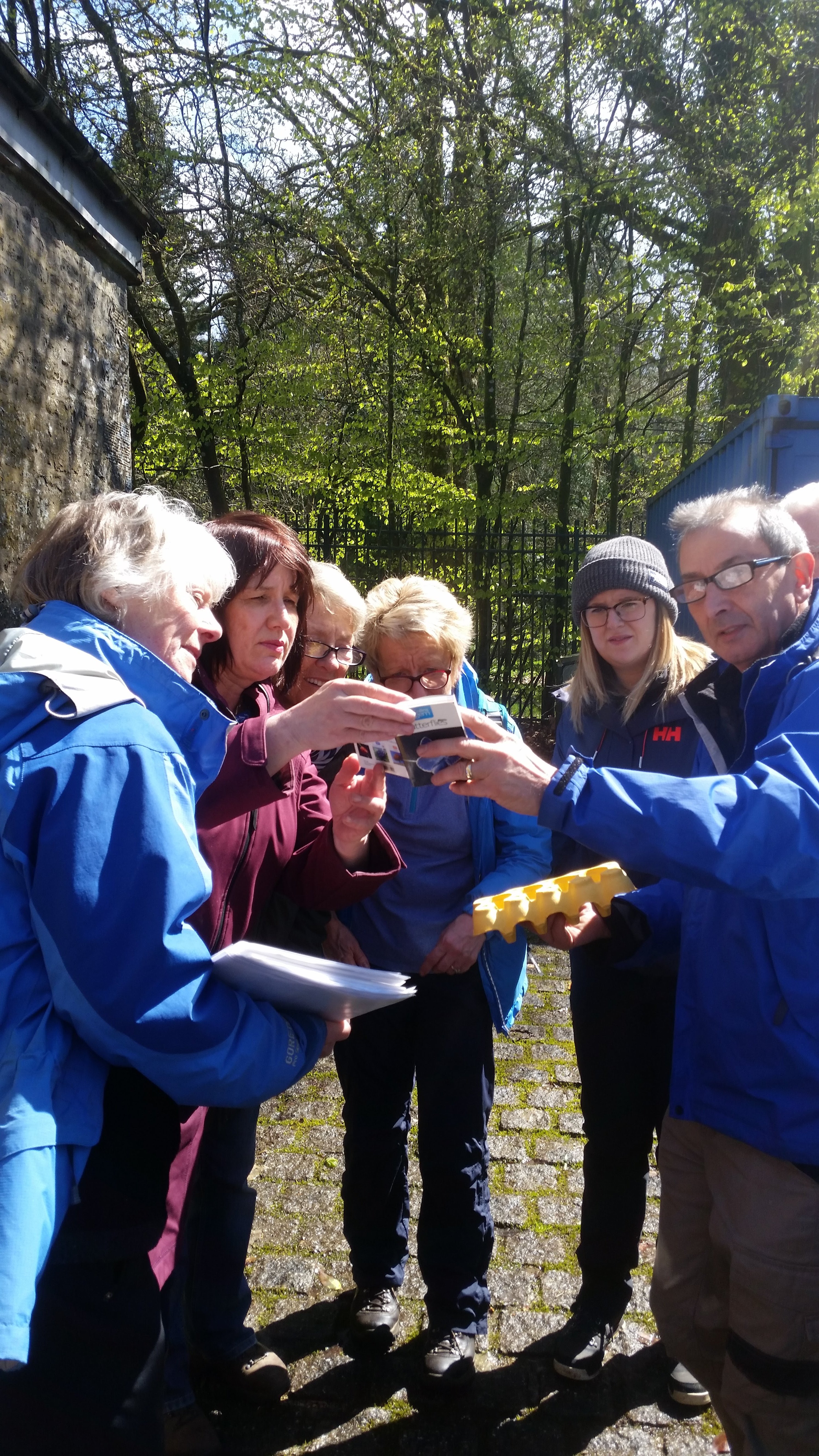 image of volunteers taking part in the Moth survey